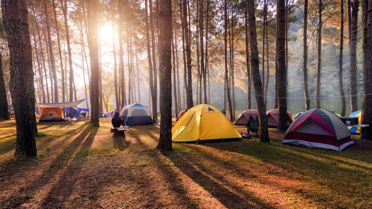 Under Starlit Skies: Rediscovering the Art of Camping